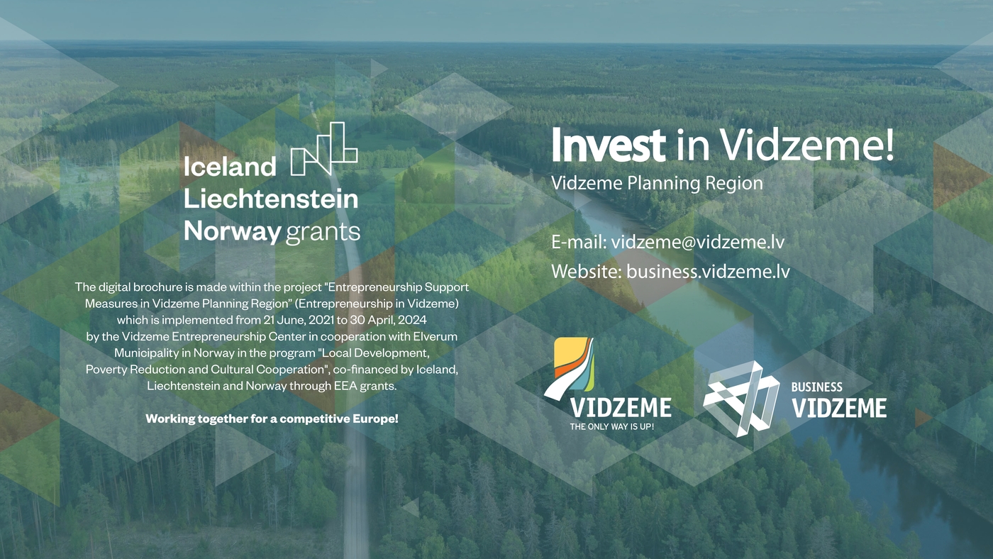 Brochure "Invest in Vidzeme" - page 31